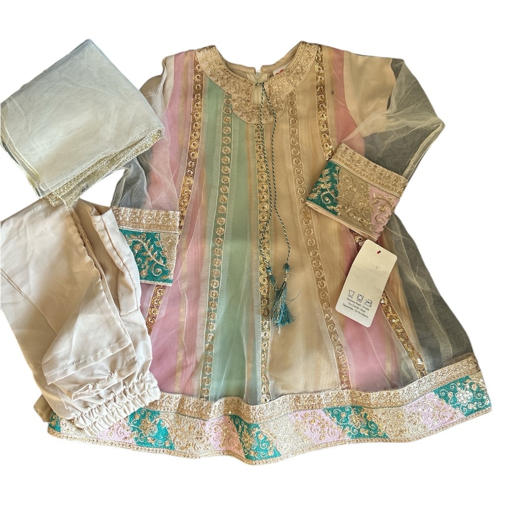 Elegant Multicolor Traditional Outfit